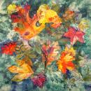 001 Pflanzen - 3 lagig - Molca